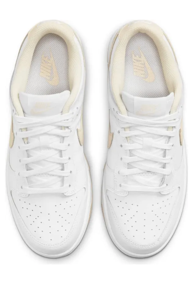nike-dunk DD1503-110