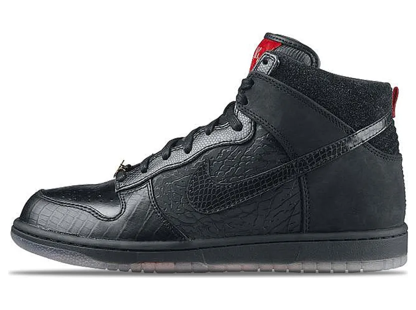 nike-dunk 503766-001
