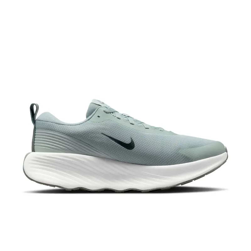 Nike Promina Light Pumice Dark Stucco Summit White Anthracite (FV5285-003)