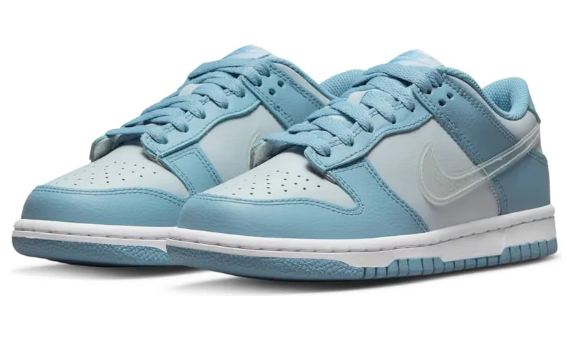 nike-dunk DH9765-401