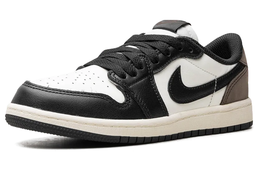 air-jordan-1 FQ5436-102
