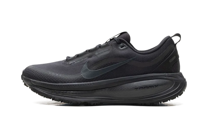 Nike Vomero 18 Gore-Tex “Black Anthracite” (HQ7001-001)