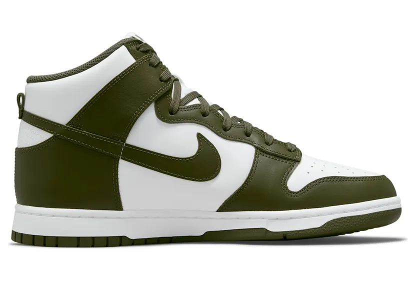 nike-dunk DD1399-107