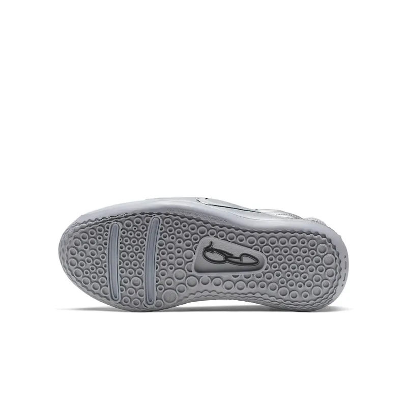 Nike PG 3 NASA 50th (GS) Reflect Silver/Reflect Silver (CI8973-001)
