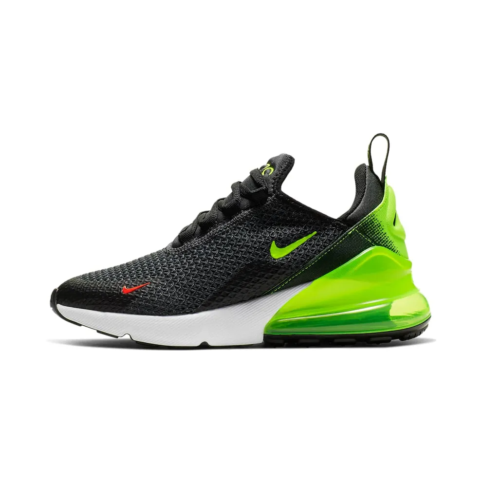 Nike Air Max 270 Retro Future (GS)