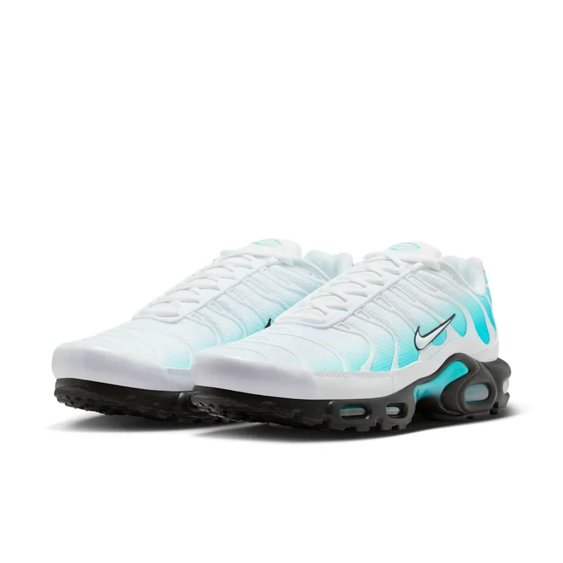Nike Air Max Plus Dusty Cactus/Black/White (IU7539-345)