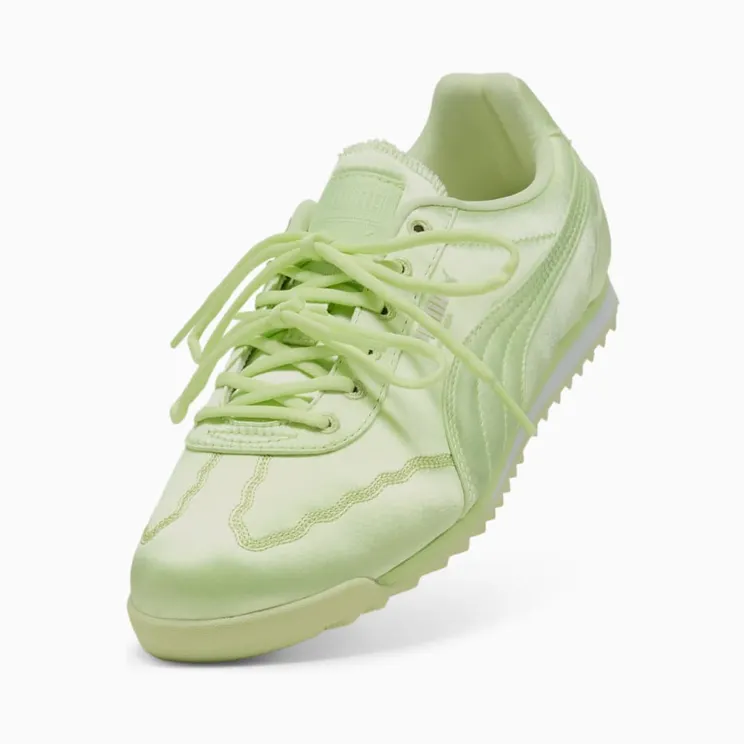 puma-arizona 40625001