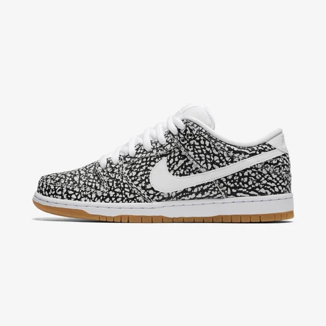 nike-dunk-sb 313170-110