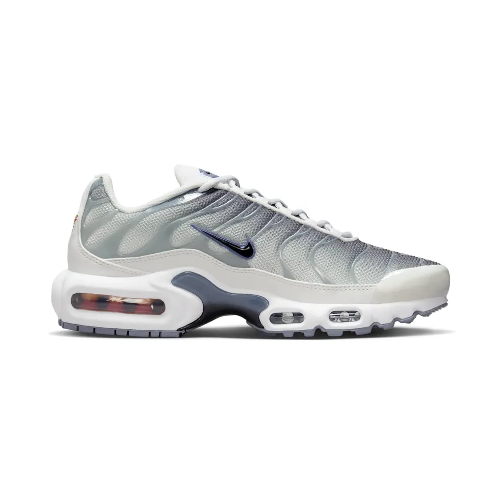 Nike Air Max Plus Smoke Grey Ashen Slate (FQ2892-100)