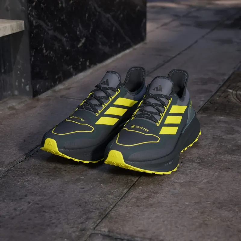 Adidas Ultraboost 5 GTX Carbon / Core Black / Grey Four (JI3242)