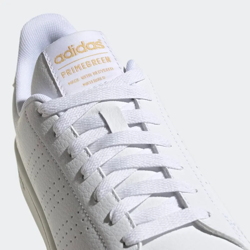 Adidas Advantage Cloud White / Cloud White / White Tint (GW4850)