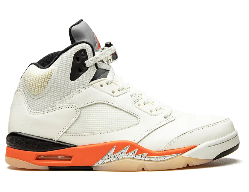 air-jordan-5 DC1060-100