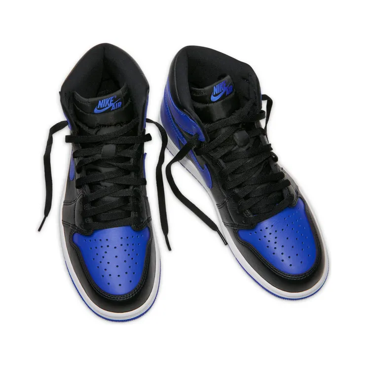 Air Jordan 1 (IQ5495-005)