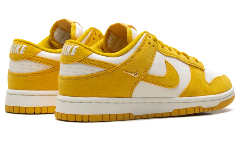 nike-dunk IB4417-101