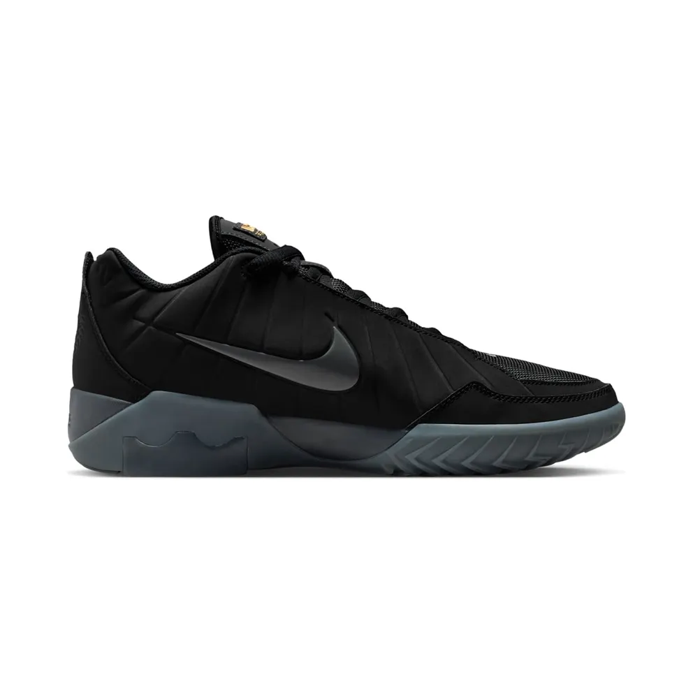 Nike LeBron Black/Iron Grey/Dark Smoke Grey/Black (HQ8034-003)