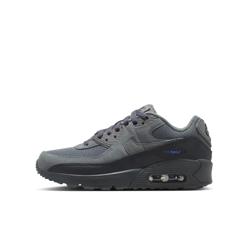 Nike Air Max 90 Smoke Grey/Dark Smoke Grey/Blue Crystal/Iron Grey (IR5583-001)