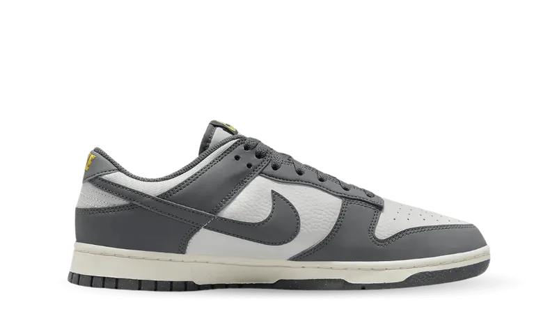 Nike Dunk Low Next Nature Iron Grey (FZ4621-001)