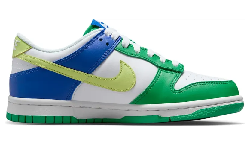 nike-dunk FN6973-100