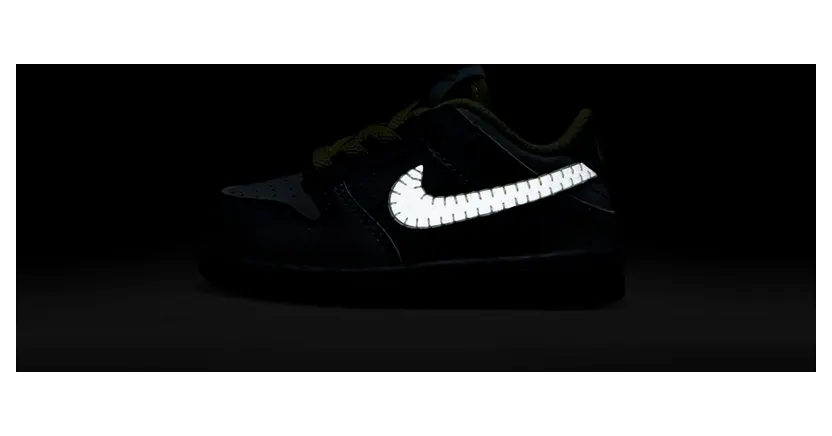 nike-dunk FQ8358-491