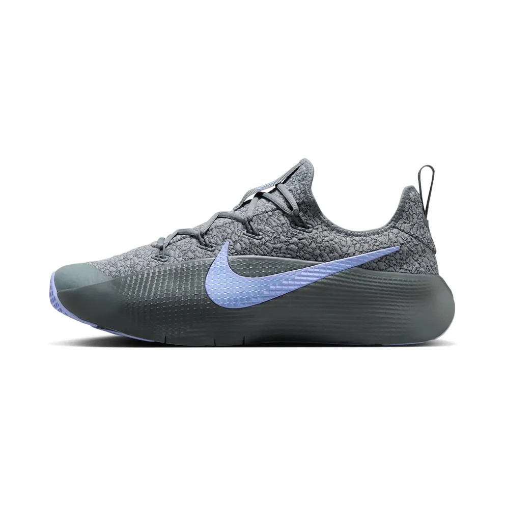 Nike LeBron TR 1 Cool Grey Aluminum (FJ6151-008)