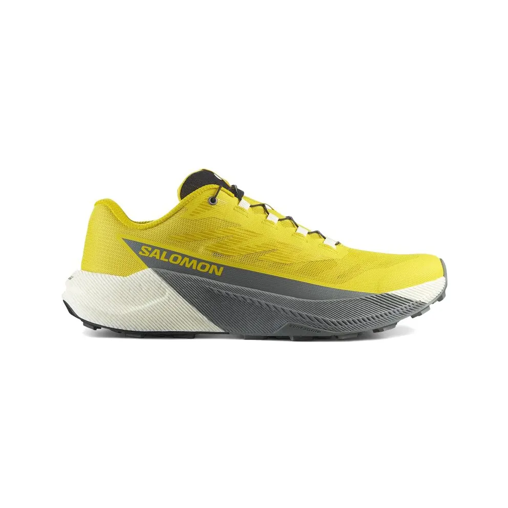 Salomon Pulsar Incaberry Sedona Sage (L47973200)