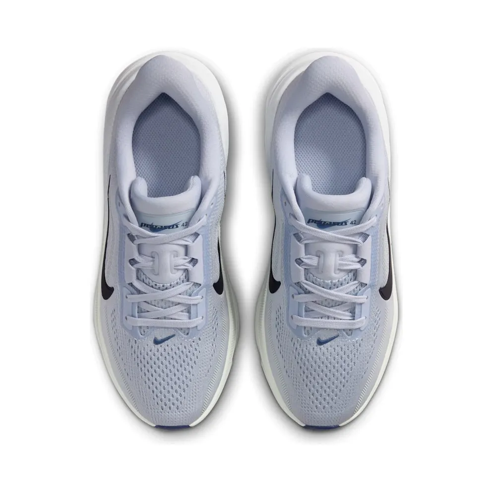 Nike Pegasus Football Grey/Football Grey/Barely Green/Blue Void (IH2306-004)
