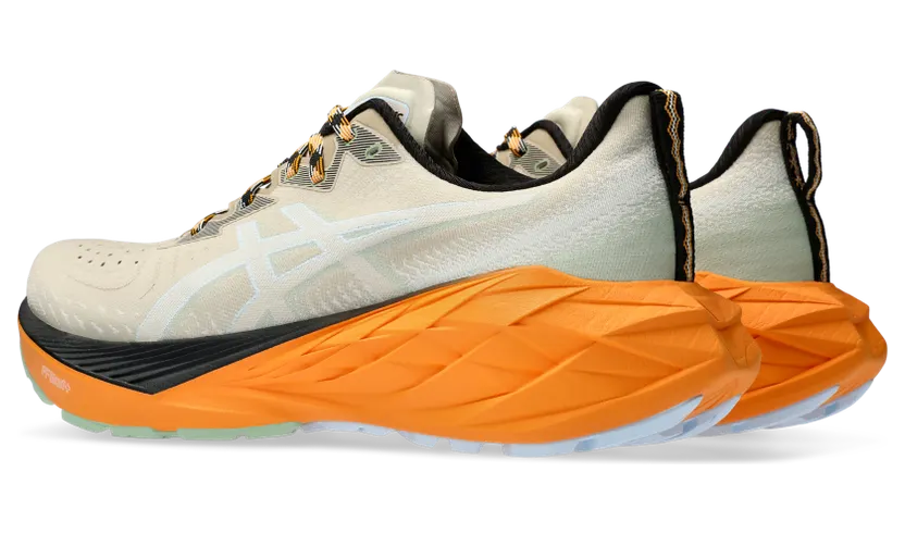 asics-novablast 1011B850.250
