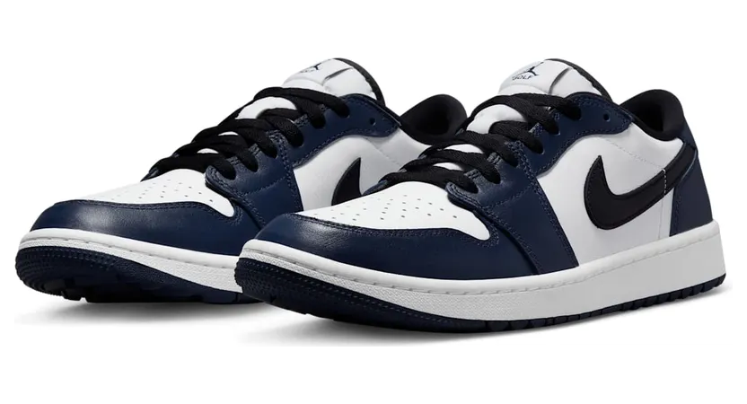 air-jordan-1 DD9315-104