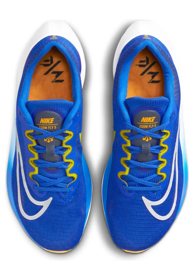 nike-zoom DM8968-402