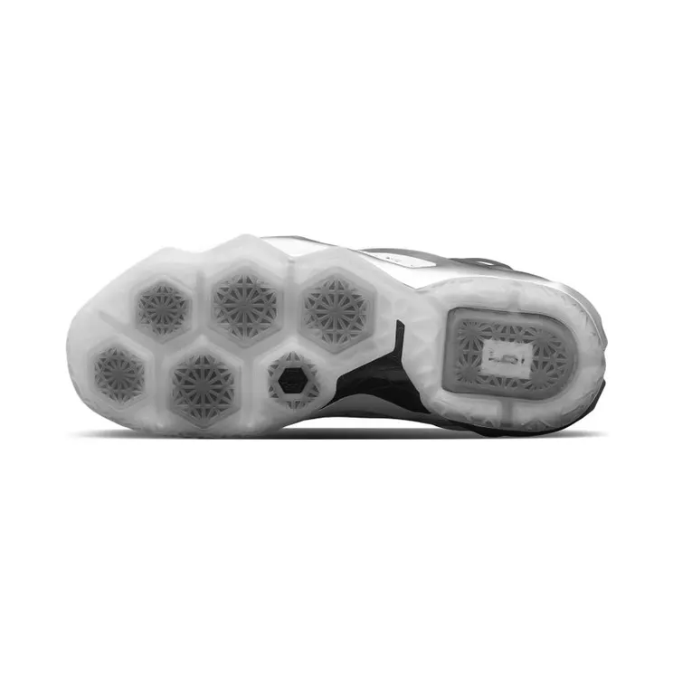 nike-lebron-12 806951-100