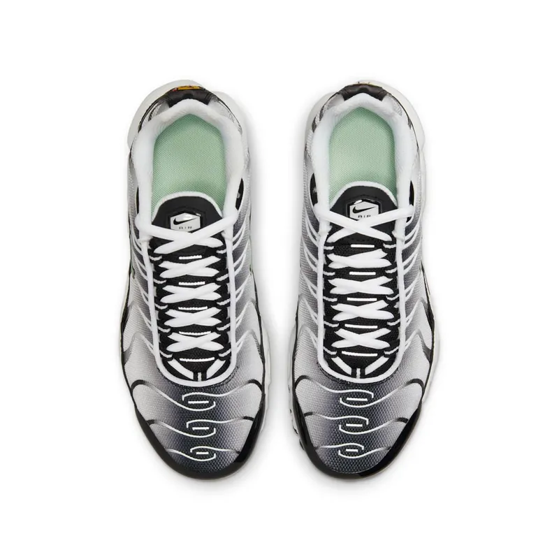 Nike Air Max Plus White (CD0609-106)