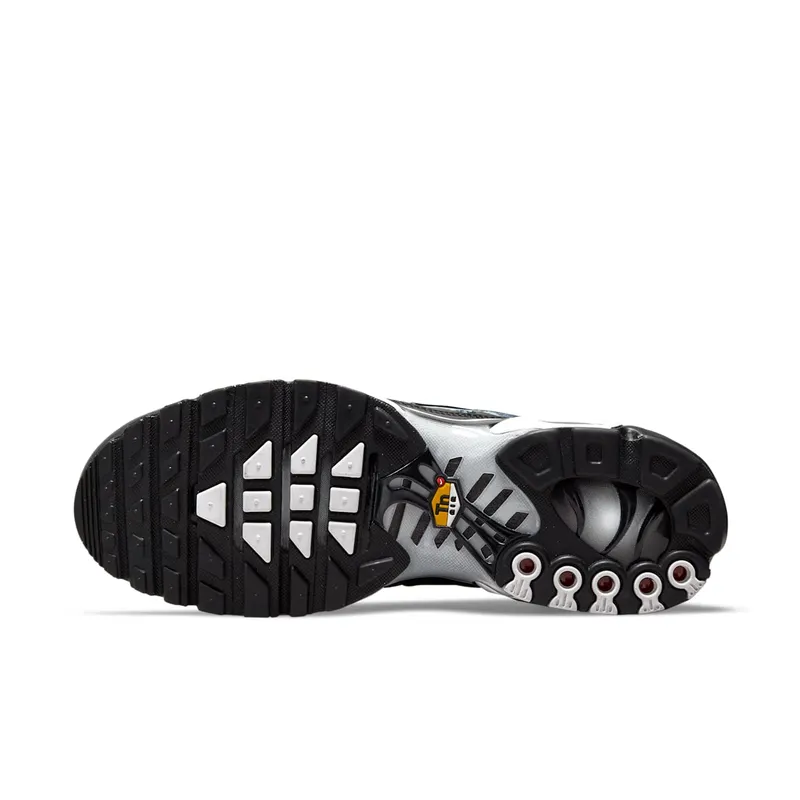 Nike TN Air Max Plus Dark Smoke Grey (DO6384-001)