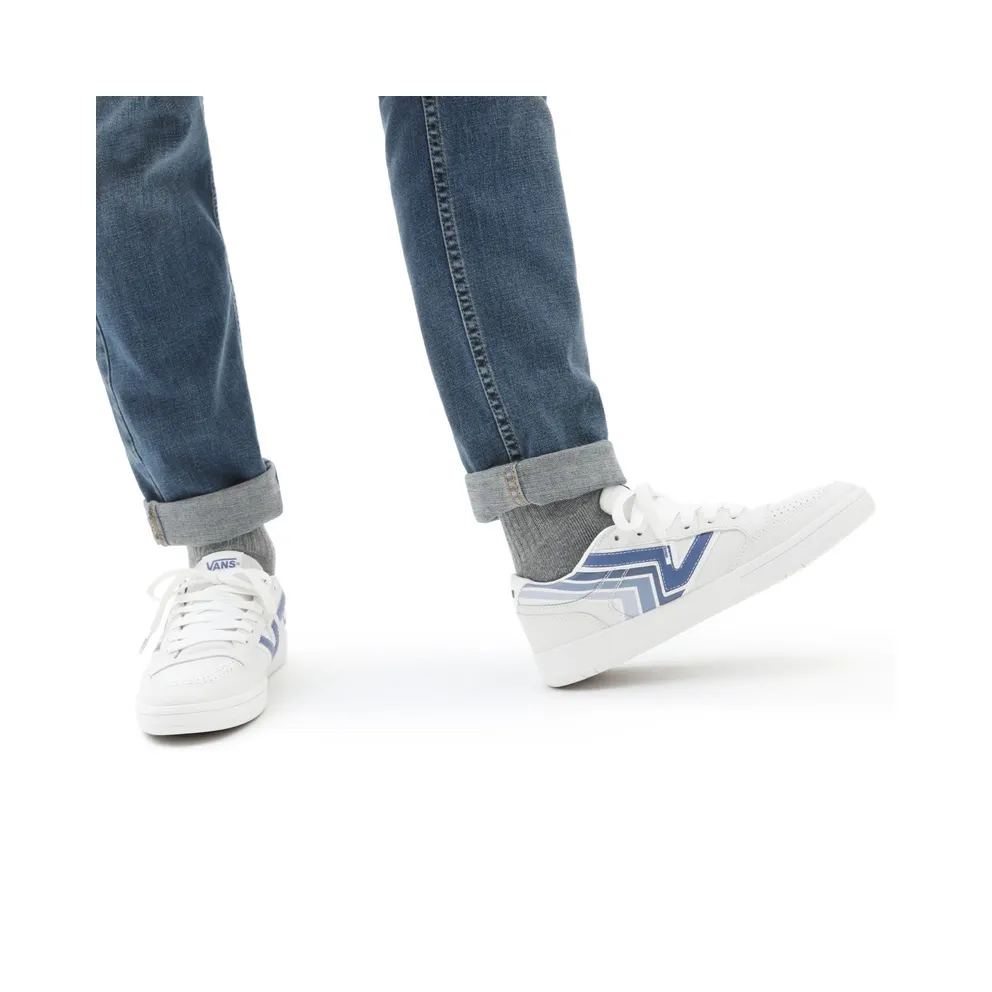 VANS Vans X Penn Lowland Cc Shoes White (VN0A4TZY4H5)