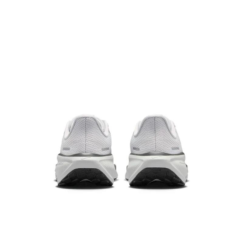 Nike Pegasus Pure Platinum/Anthracite/Light Silver/Sail (FN5041-006)