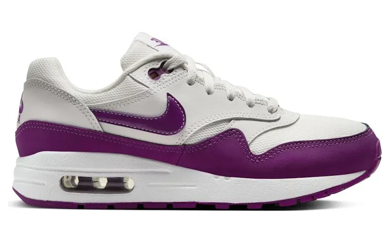 Nike Air Max 1 Summit White Viotech (DZ3307-109)