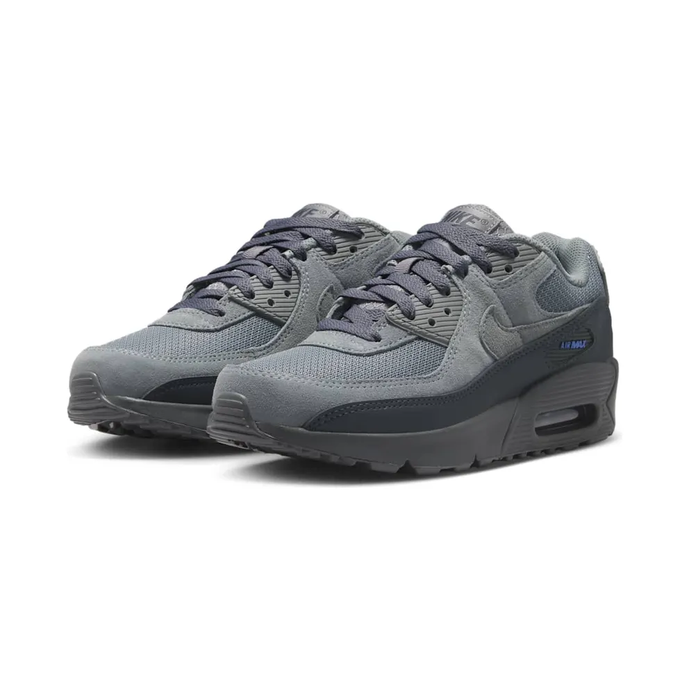 Nike Air Max 90 Smoke Grey/Dark Smoke Grey/Blue Crystal/Iron Grey (IR5583-001)