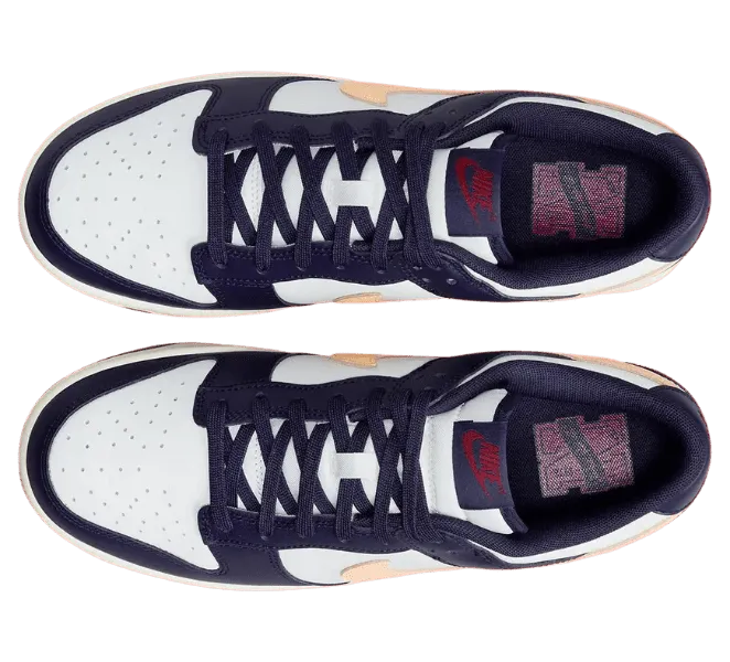 nike-dunk FV8106-181