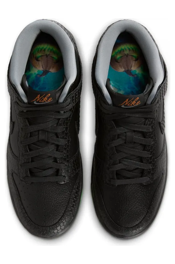 nike-dunk FQ8749-010