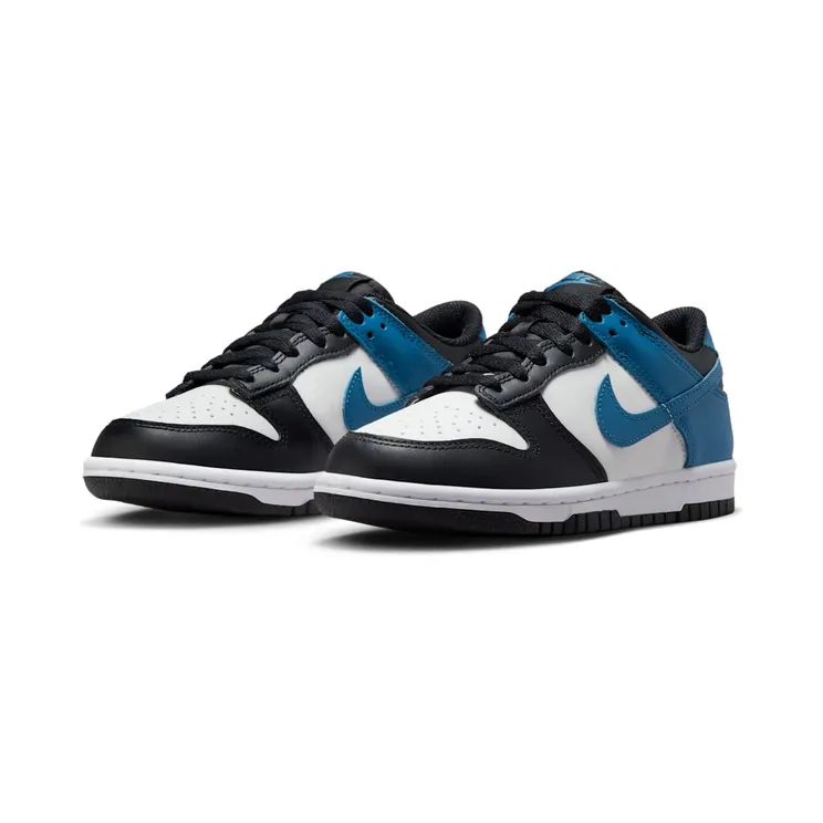 nike-dunk DH9765-104