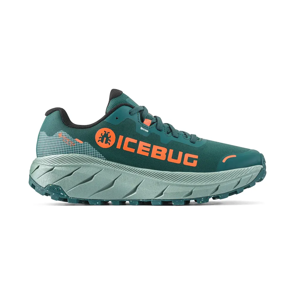 Women's Shoes Icebug Arcus 2 RB9X GTX (F0347003)
