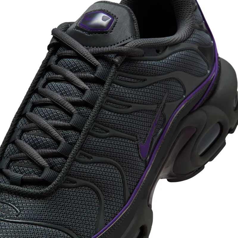 Nike Air Max Plus OG Iron Grey Wild Grape (HV8066-001)