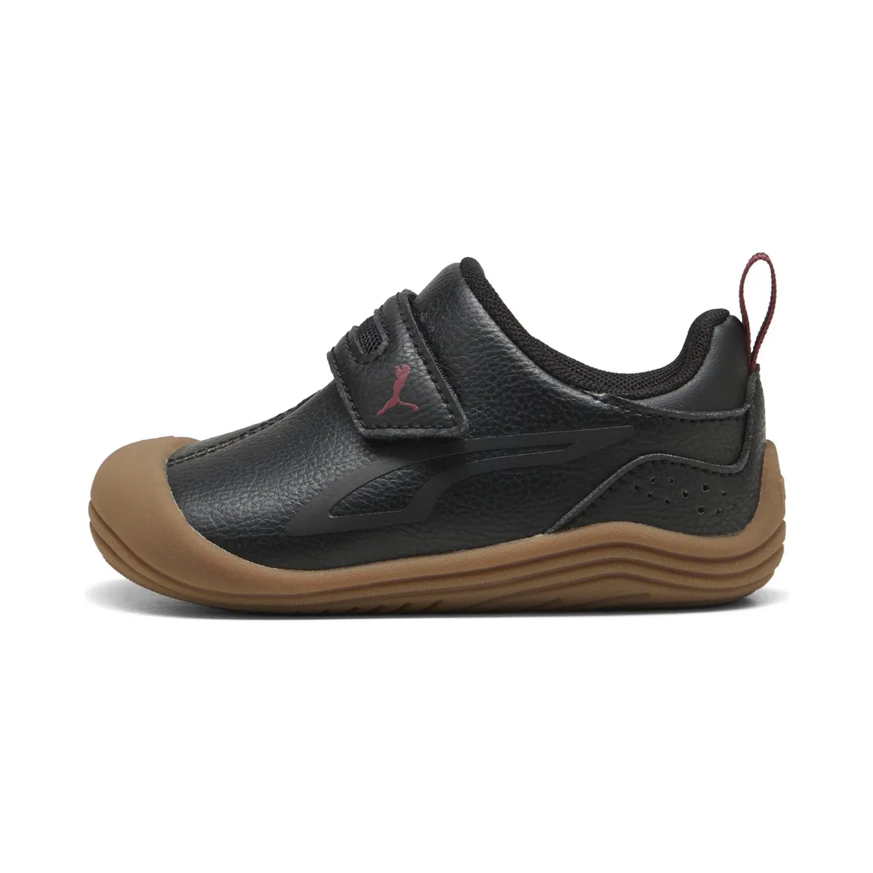 puma-kitten 402848_01