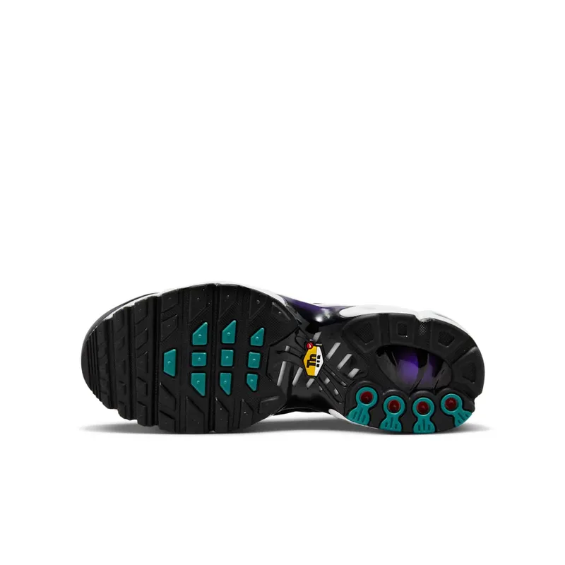 Nike Air Max Plus Reverse Grape (FQ2412-500)