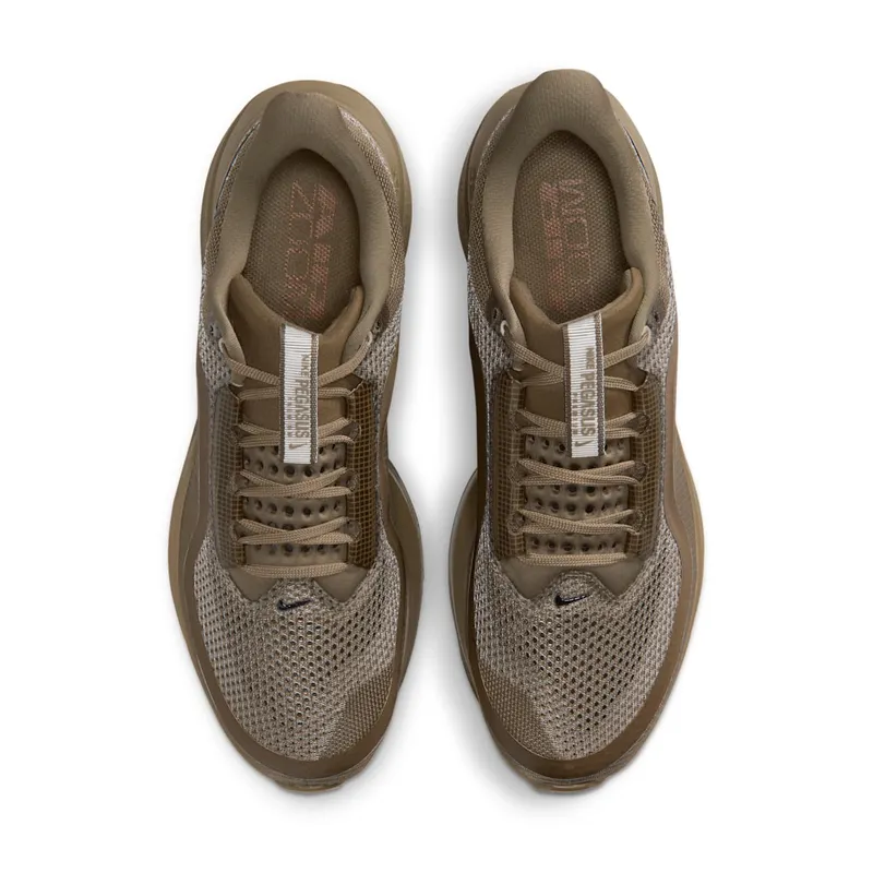 Nike Pegasus Premium “Caldera Brown” (IQ5691-200)
