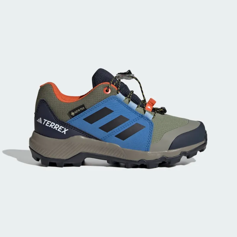 Adidas Terrex GORE-TEX Hiking Tent Green / Core Black / Ray Blue (JR9073)
