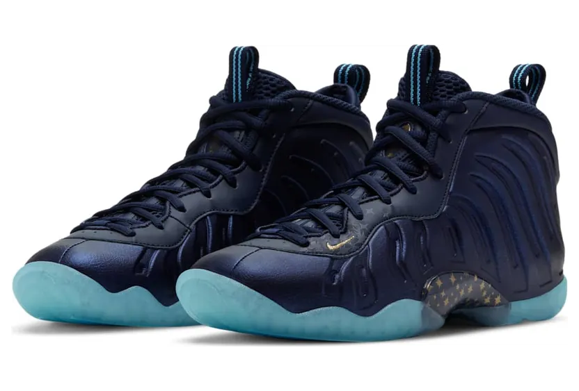 nike-little-posite CZ6547-400