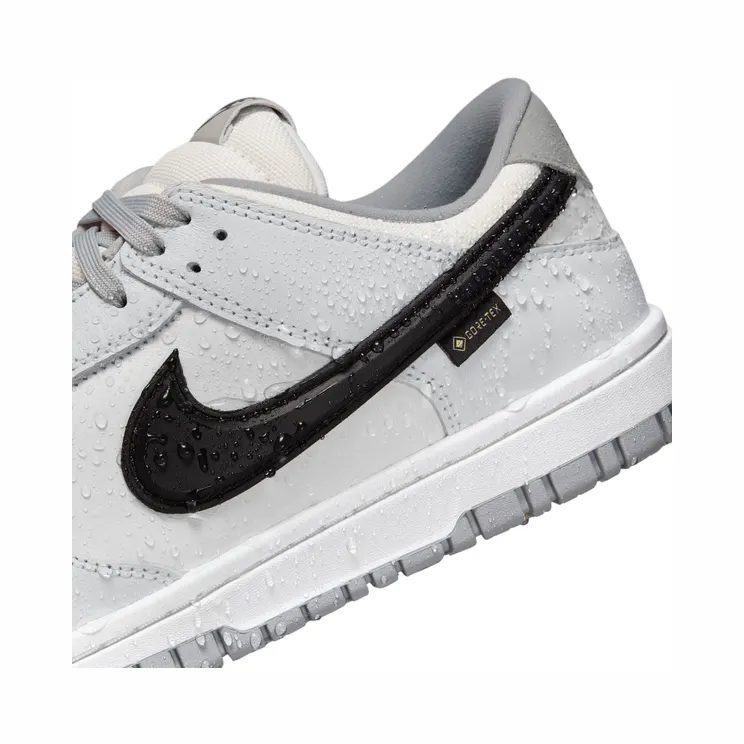 nike-dunk HQ2053-100