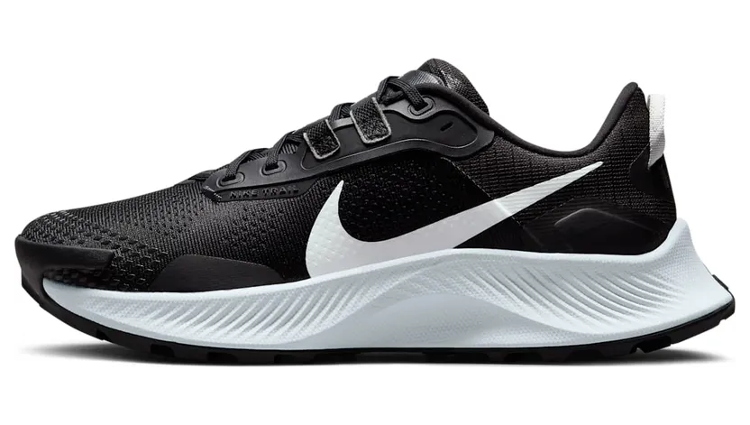 nike-air-pegasus DA8698-001