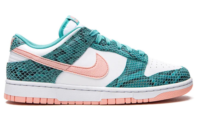 nike-dunk DR8577-300