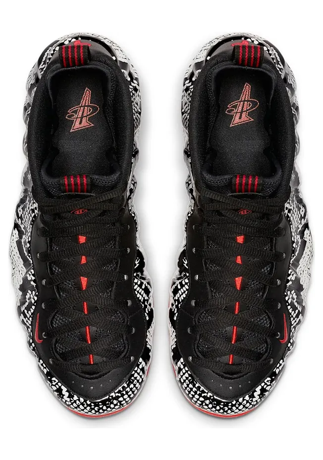 nike-air-foamposite 314996-101